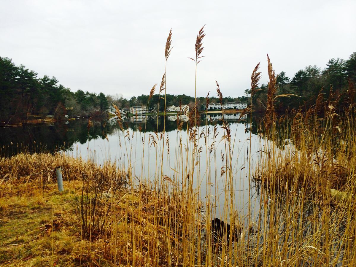 Clear Pond Getaway Apartment Plymouth Exterior photo