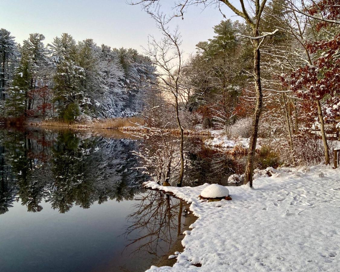 Clear Pond Getaway Apartment Plymouth Exterior photo